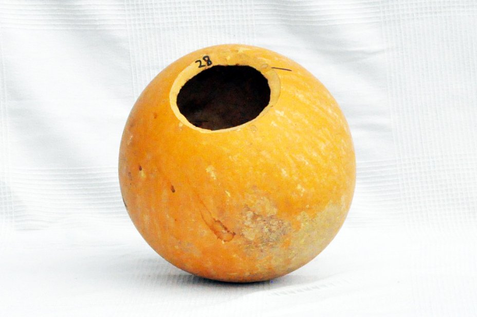 Calabaza entera Ø27-28 cm - Calabaza esferica