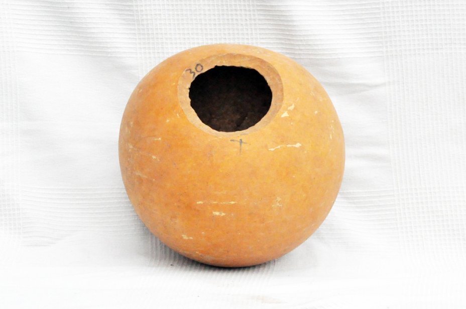 Calabaza entera Ø29-30 cm - Calabaza esferica