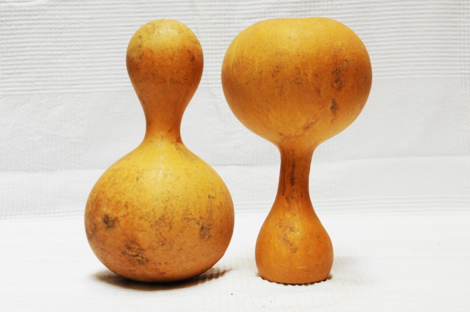 Calabaza botella Ø27-28 cm - Calabaza de botella
