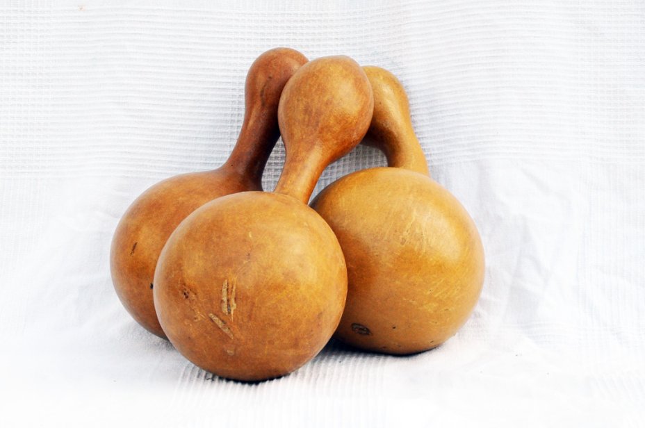 Calabaza botella Ø17-18 cm - Calabaza de botella