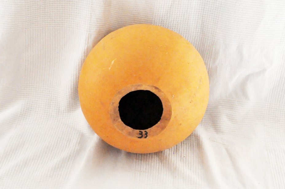 Calabaza entera Ø33-34 cm - Calabaza esferica