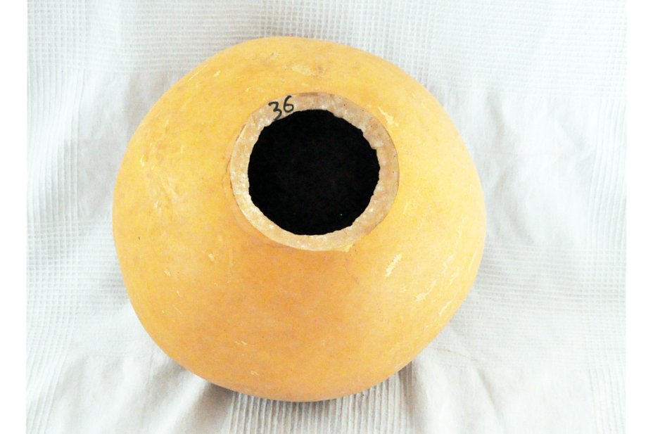 Calabaza entera Ø35-36 cm - Calabaza esferica
