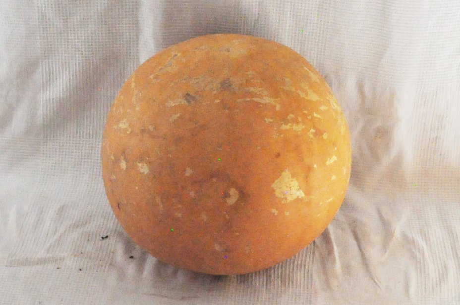 Calabaza entera Ø39-40 cm - Calabaza esferica