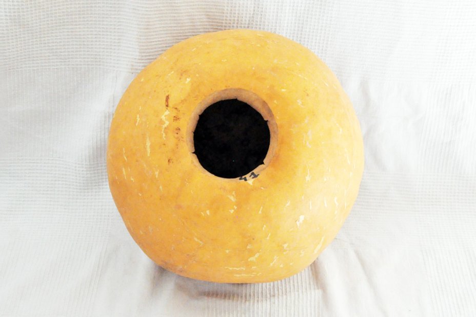 Calabaza entera Ø41-42 cm - Calabaza esferica