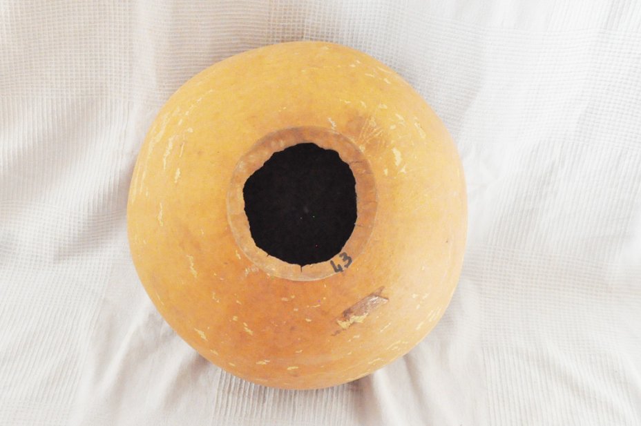 Calabaza entera Ø43-44 cm - Calabaza esferica