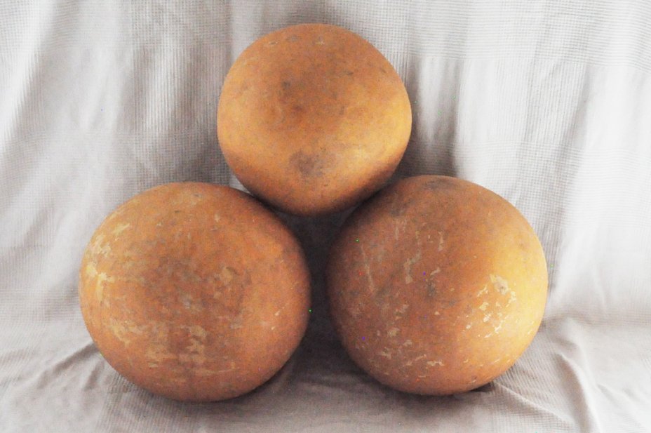 Calabaza entera Ø47-48 cm - Calabaza esferica
