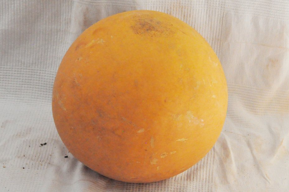 Calabaza entera Ø53-54 cm - Calabaza esferica