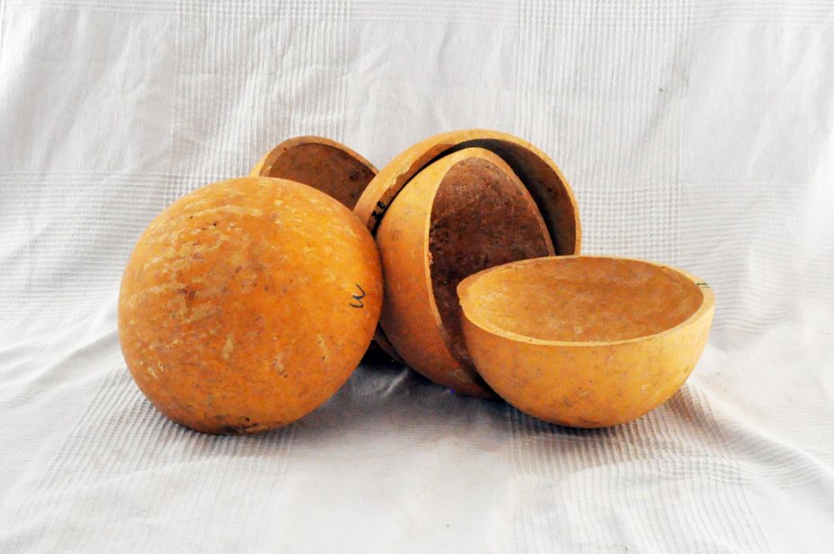 Media calabaza Ø23-24 cm - Calabaza hemisférica