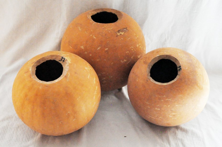 Calabaza entera Ø37-38 cm - Calabaza esferica
