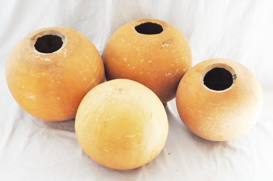 Calabaza entera Ø39-40 cm - Calabaza esferica