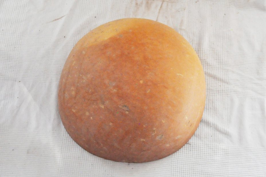 Media calabaza Ø37-38 cm - Calabaza hemisférica