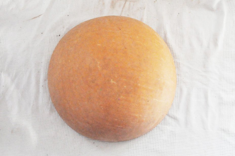Media calabaza Ø41-42 cm - Calabaza hemisférica