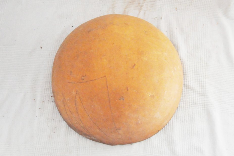 Media calabaza Ø49-50 cm - Calabaza hemisférica