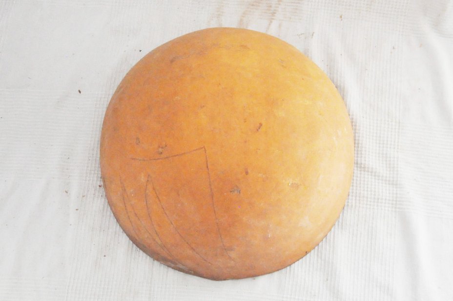 Media calabaza Ø49-50 cm - Calabaza hemisférica