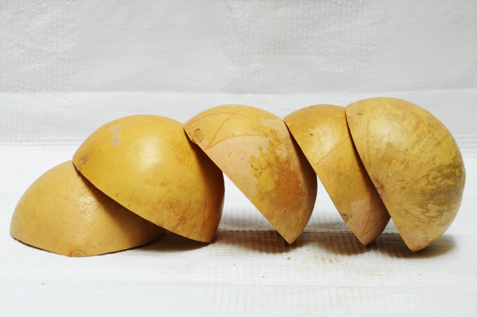 Media calabaza Ø13-14 cm - Calabaza hemisférica