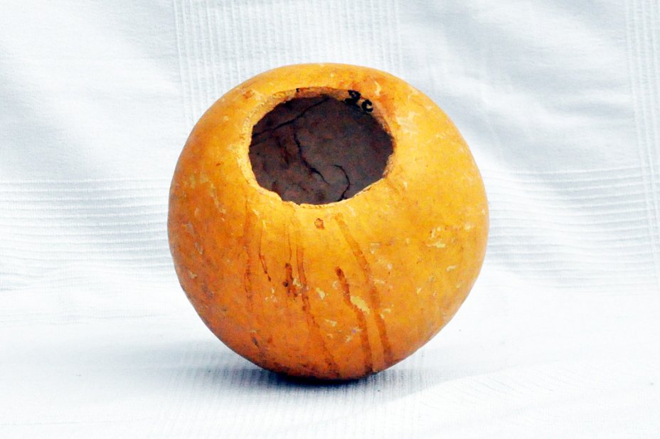 Calabaza entera Ø19-20 cm - Calabaza esferica