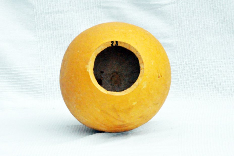 Calabaza entera Ø23-24 cm - Calabaza esferica