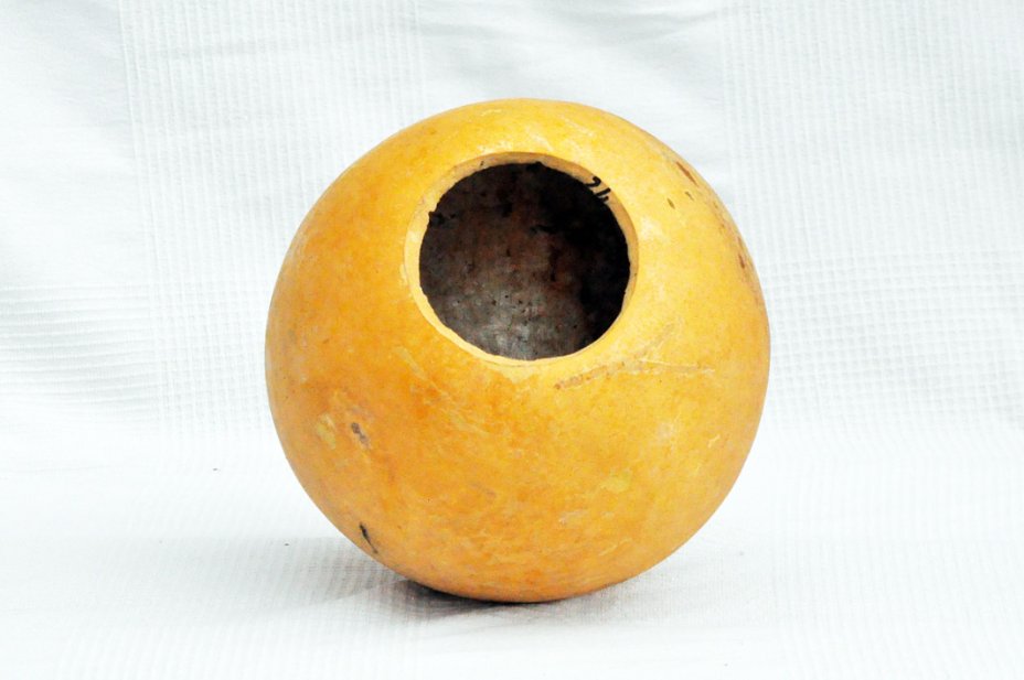 Calabaza entera Ø23-24 cm - Calabaza esferica