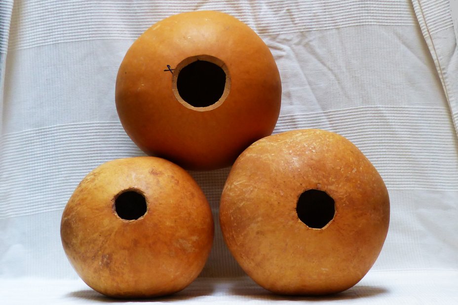 Calabaza entera Ø17-18 cm - Calabaza esferica