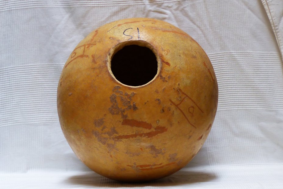 Calabaza entera Ø49-50 cm - Calabaza esferica