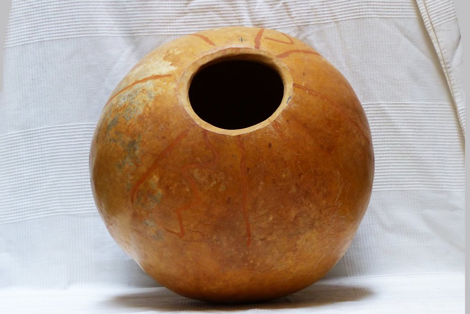 Calabaza entera Ø59-60 cm - Calabaza esferica