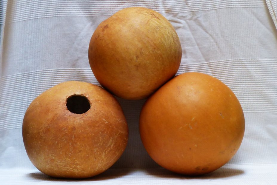 Calabaza entera Ø17-18 cm - Calabaza esferica